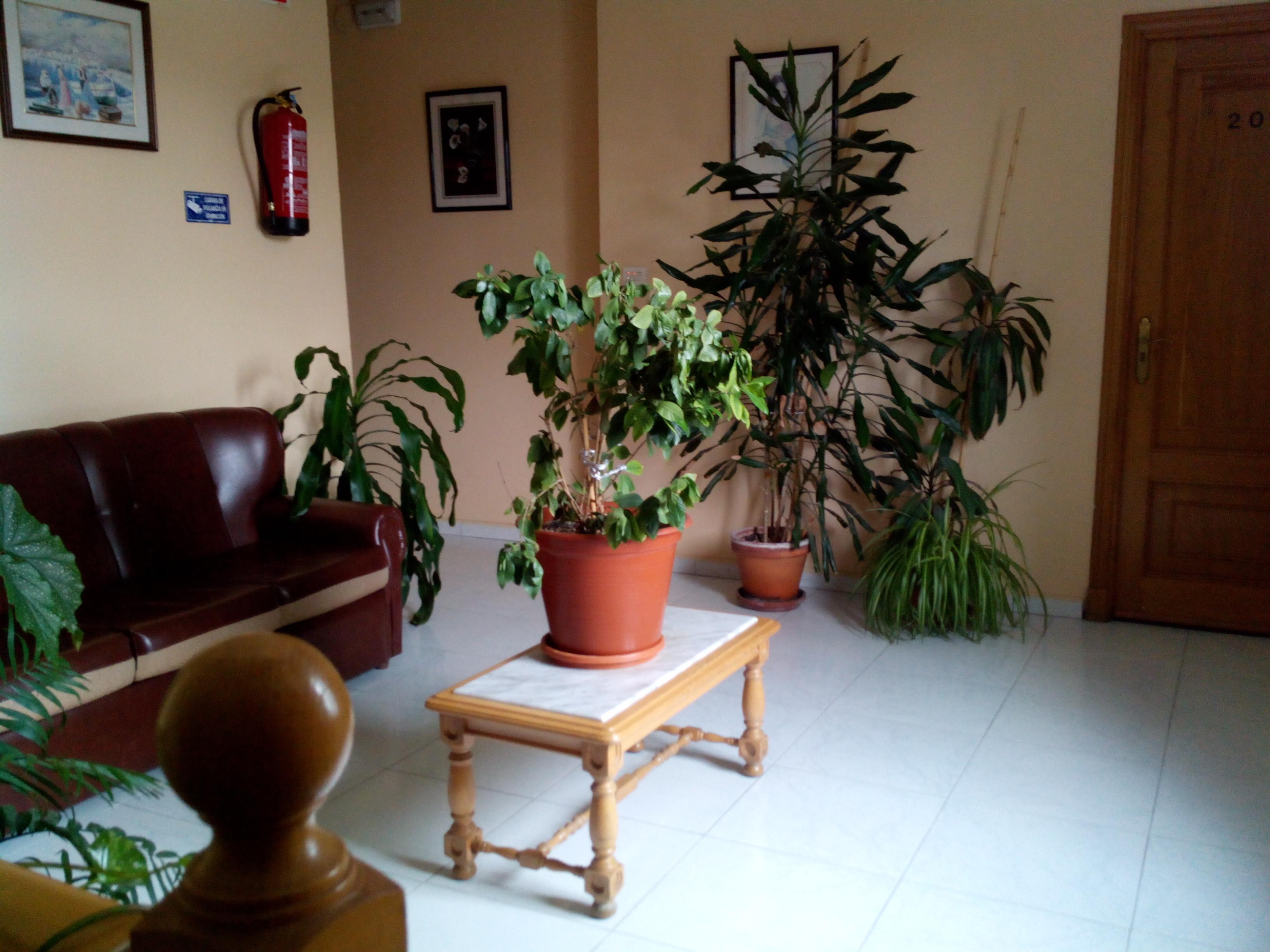 Hostal Sequeiros San Ciprian de Vinas ภายนอก รูปภาพ