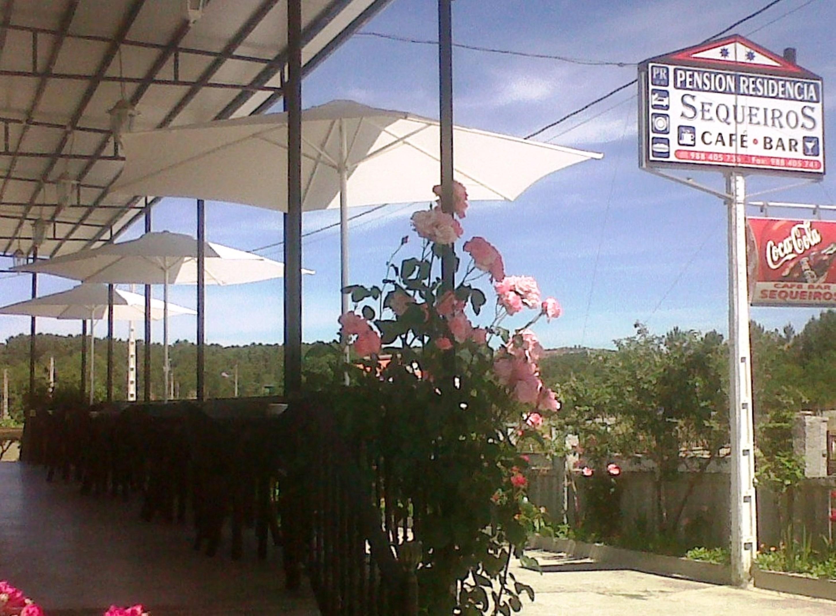 Hostal Sequeiros San Ciprian de Vinas ภายนอก รูปภาพ