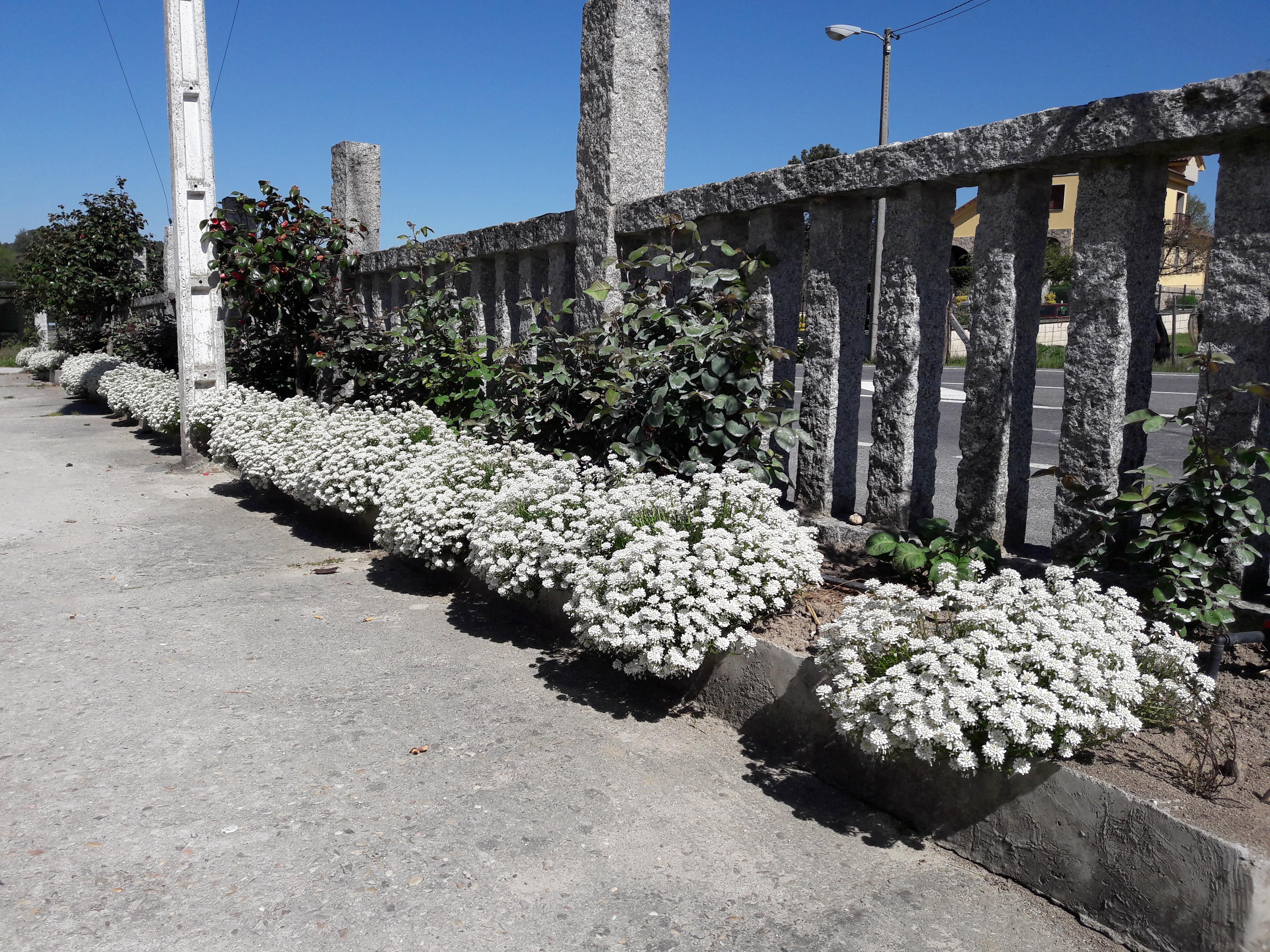 Hostal Sequeiros San Ciprian de Vinas ภายนอก รูปภาพ